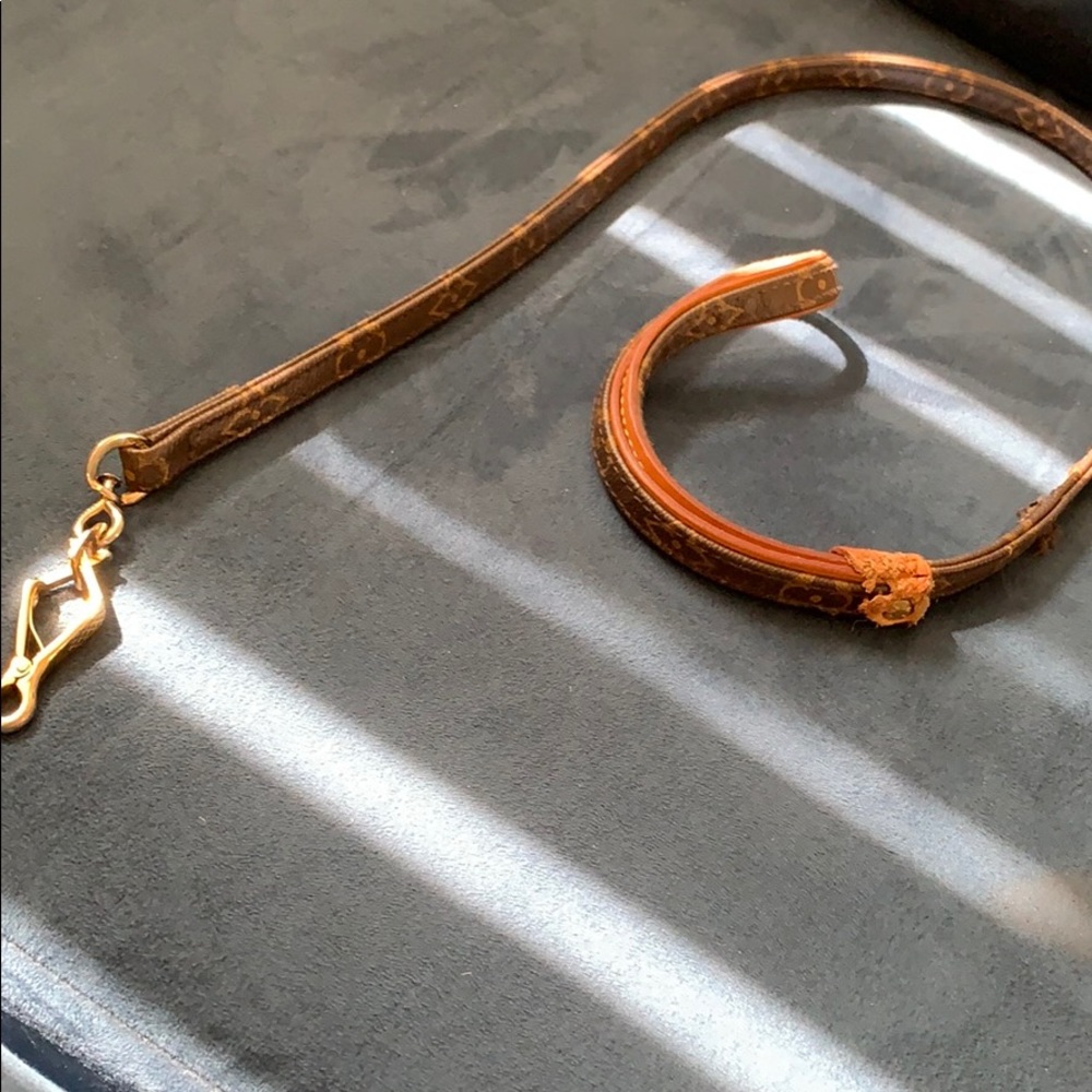 Louis Vuitton Brown Monogram Baxter Dog Leash MM